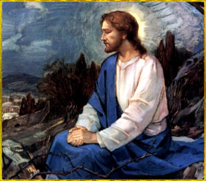 bd4d3f8d750b228b493de2d40d7b80f4 (1)